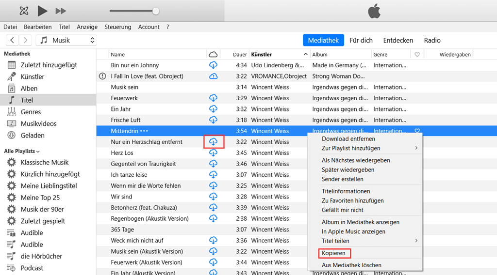 Musik von iTunes auf PC kopieren mit iTunes