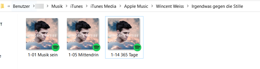 Musik von iTunes auf PC kopieren über lokalem Ordner