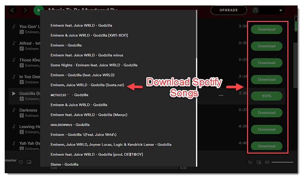 Spotify in MP3 konvertieren online