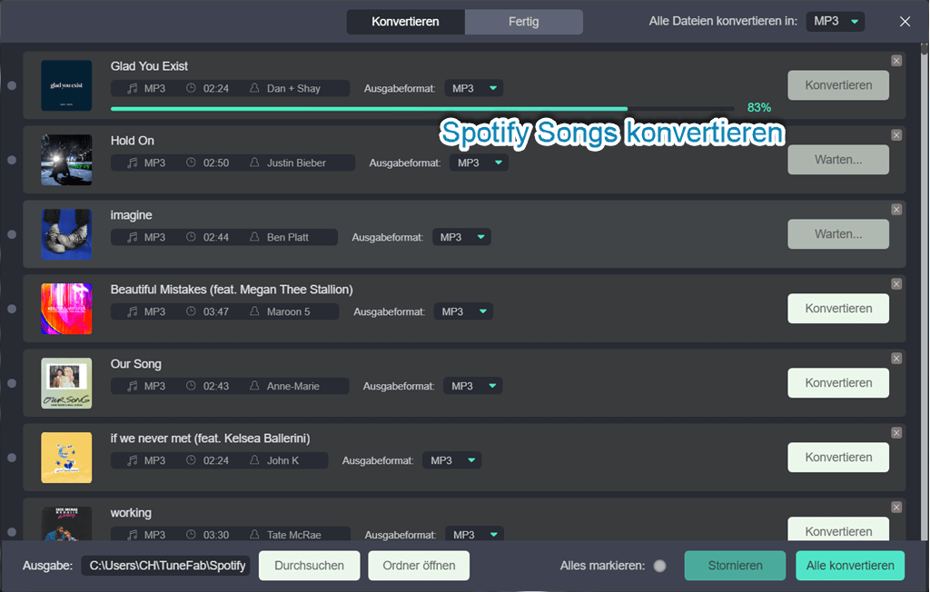 Spotify-Songs Konvertierung beginnen