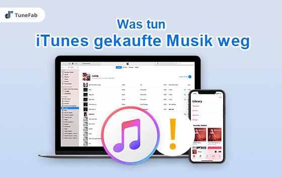 Itunes Gekaufte Musik Wird Nicht Angezeigt TuneFabs beste Tipps für Apple Music, Spotify, Audible, iTunes